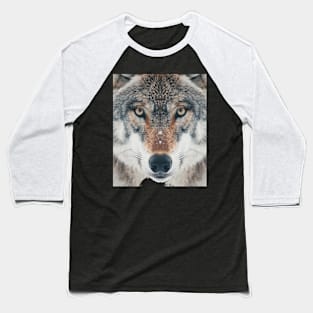 Wolf Alpha Allegiance Baseball T-Shirt